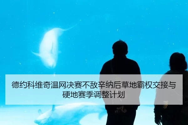 de-yue-ke-wei-qi-wen-wang-jue-sai-bu-di-xin-na-hou-cao-di-ba-quan-jiao-jie-yu-ying-di-sai-ji-tiao-zheng-ji-hua-3-376.jpg